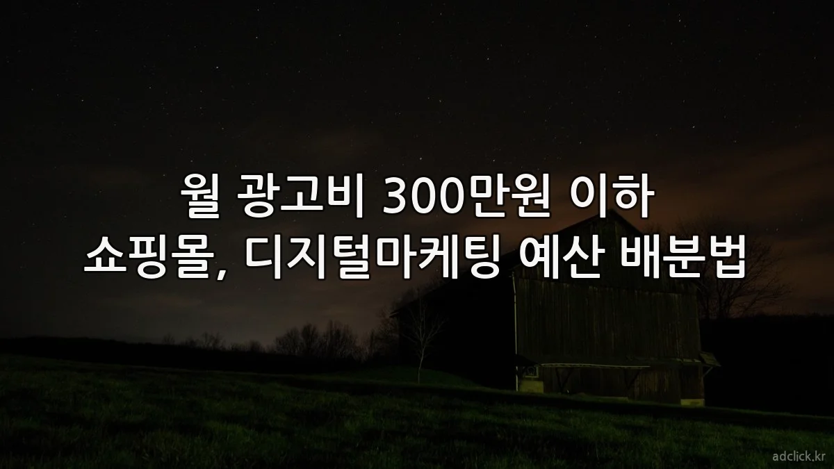 월 광고비 300만원 이하 쇼핑몰, 디지털마케팅 예산 배분법
