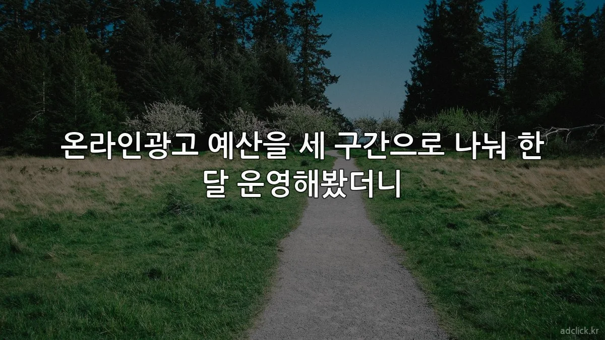 온라인광고 예산을 세 구간으로 나눠 한 달 운영해봤더니