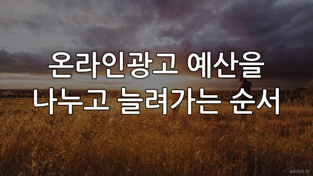온라인광고 예산을 나누고 늘려가는 순서