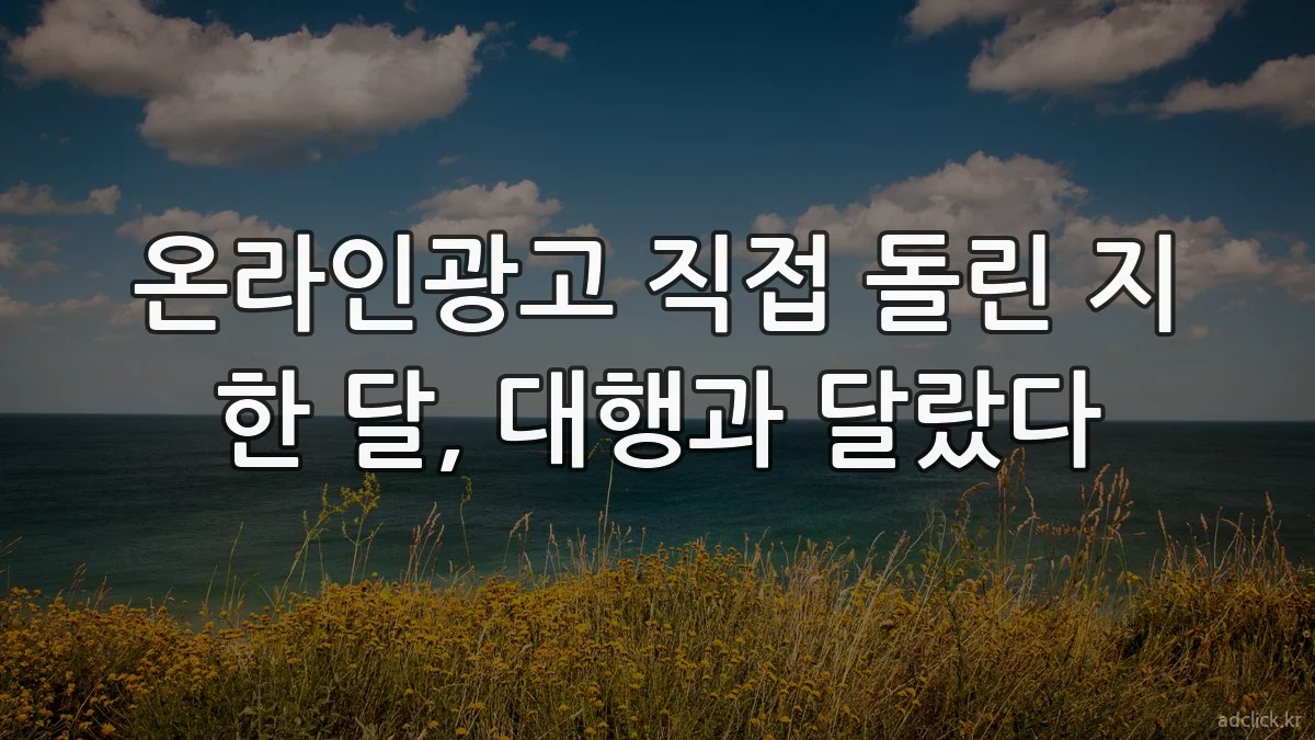 온라인광고 직접 돌린 지 한 달, 대행과 달랐다