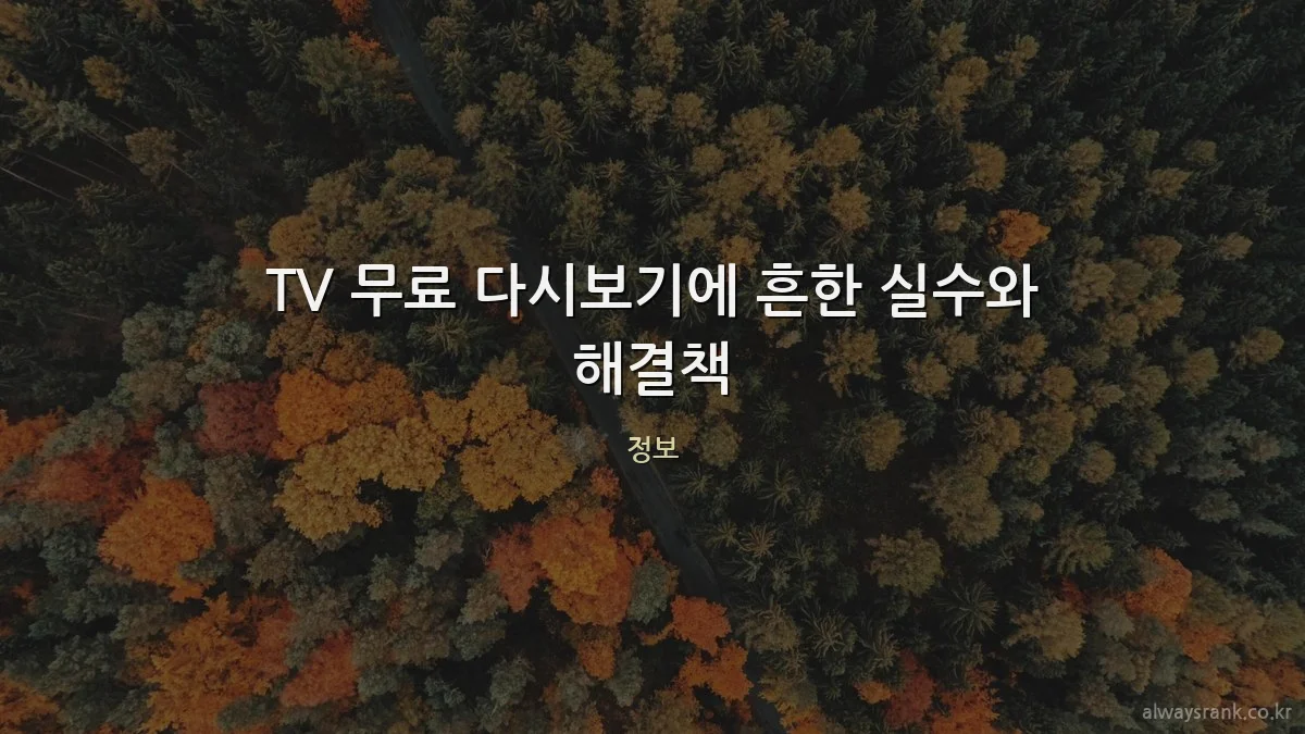 TV 무료 다시보기에 흔한 실수와 해결책