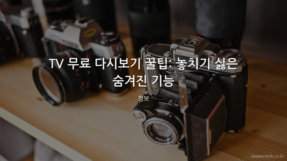 TV 무료 다시보기 꿀팁: 놓치기 싫은 숨겨진 기능