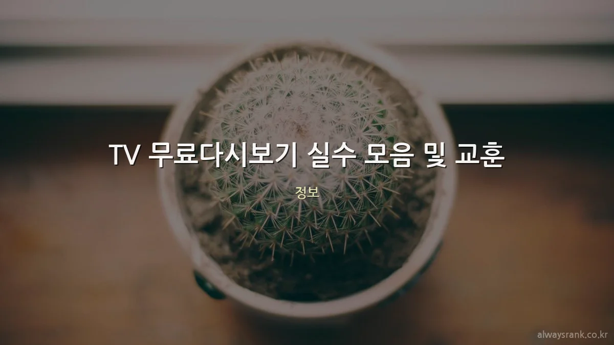 TV 무료다시보기 실수 모음 및 교훈