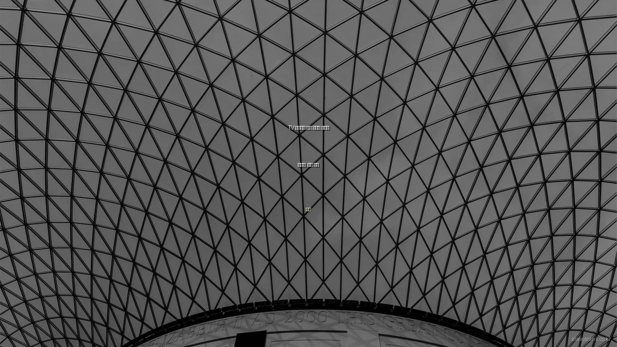 TV 다시보기 무료 사이트 전문가 인터뷰: 심층 분석