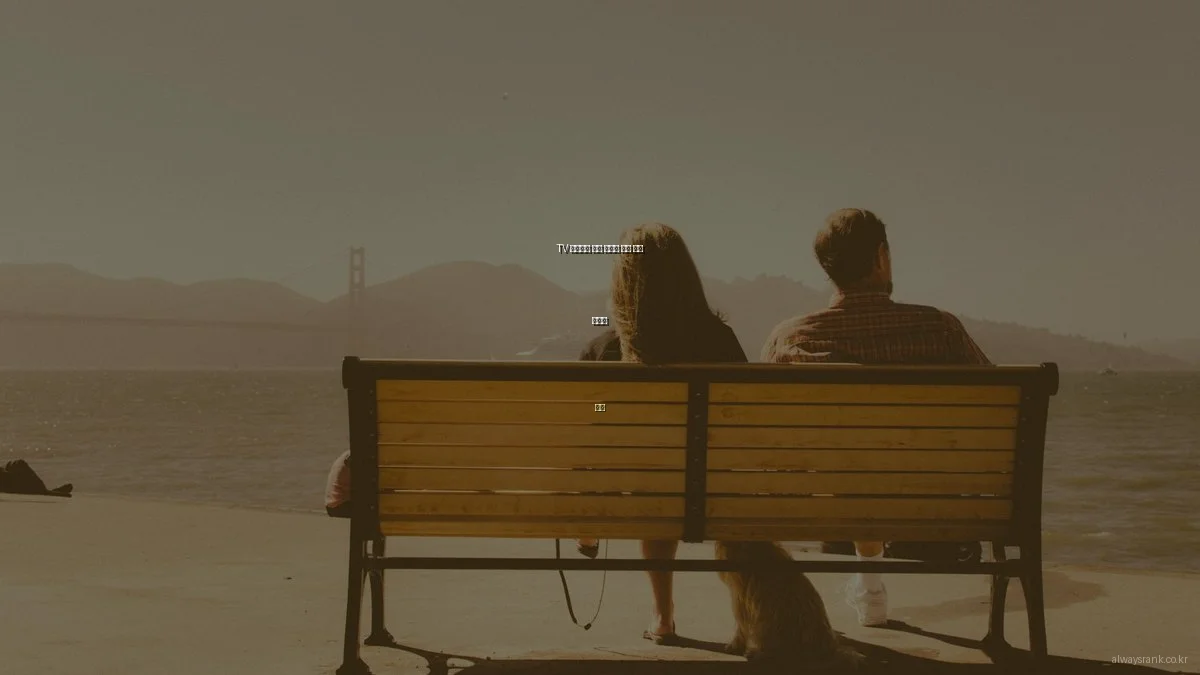 TV 다시보기 무료 사이트 안전 이용 가이드