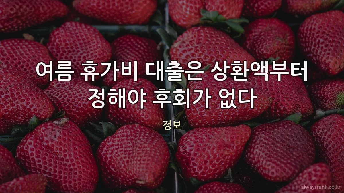 여름 휴가비 대출은 상환액부터 정해야 후회가 없다