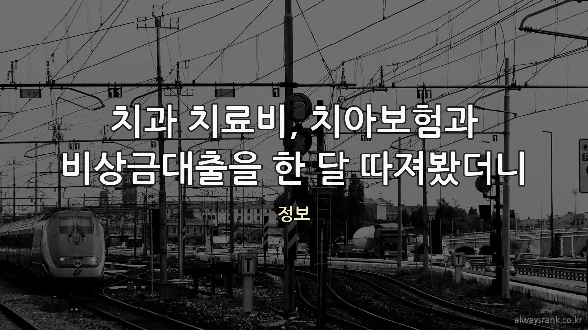 치과 치료비, 치아보험과 비상금대출을 한 달 따져봤더니