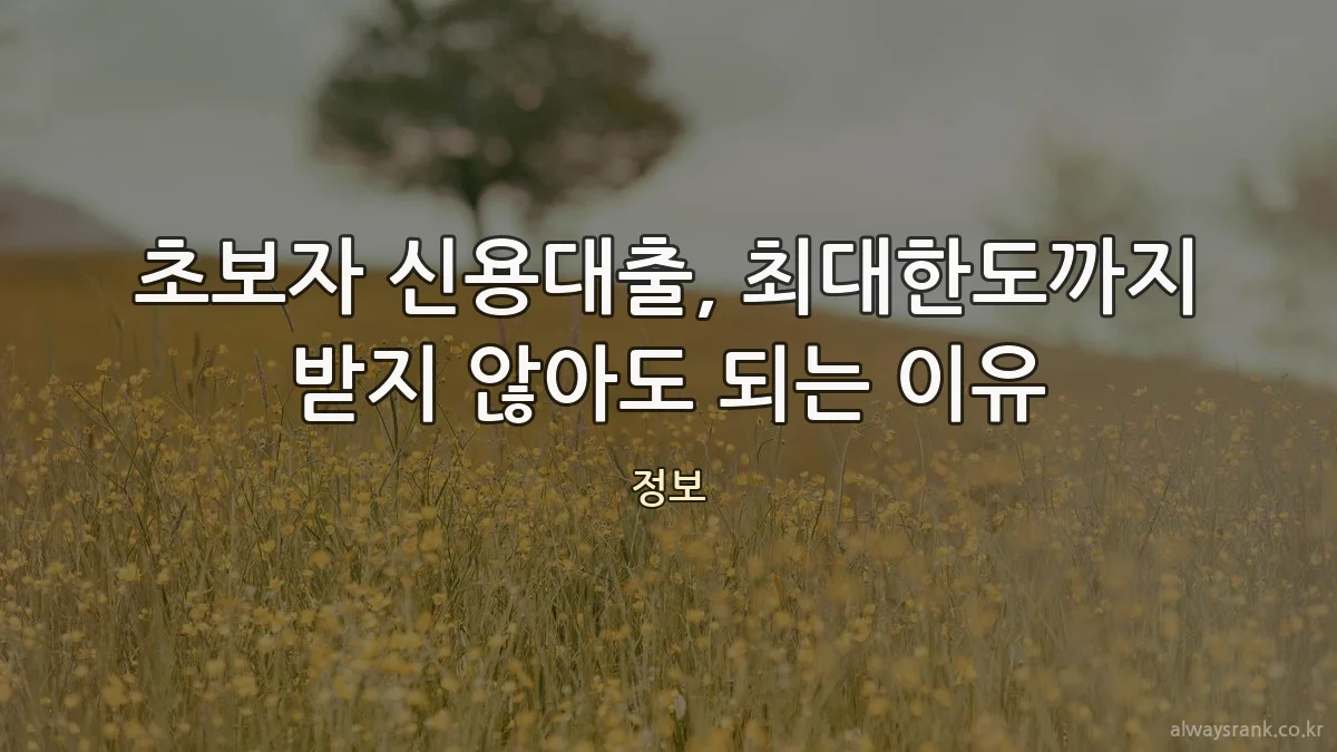 초보자 신용대출, 최대한도까지 받지 않아도 되는 이유