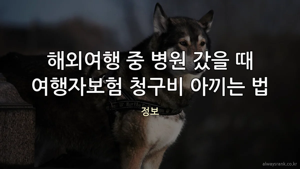 해외여행 중 병원 갔을 때 여행자보험 청구비 아끼는 법
