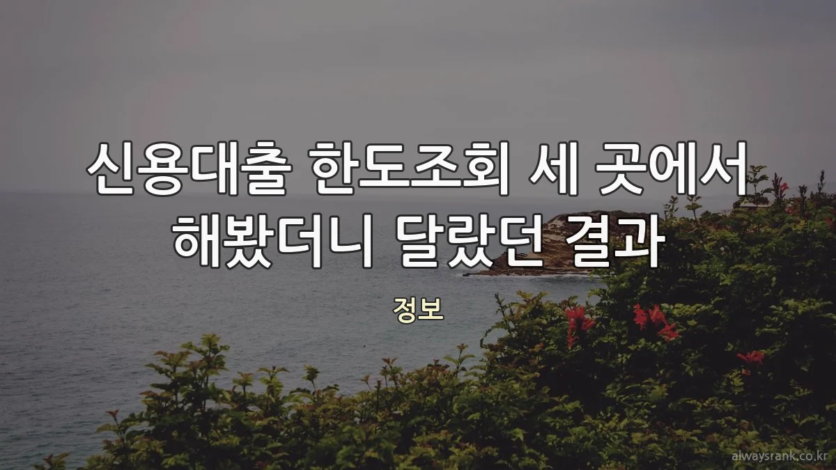 신용대출 한도조회 세 곳에서 해봤더니 달랐던 결과
