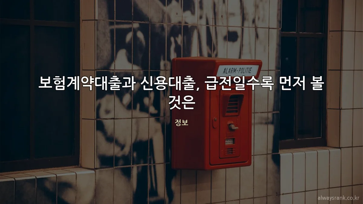 보험계약대출과 신용대출, 급전일수록 먼저 볼 것은