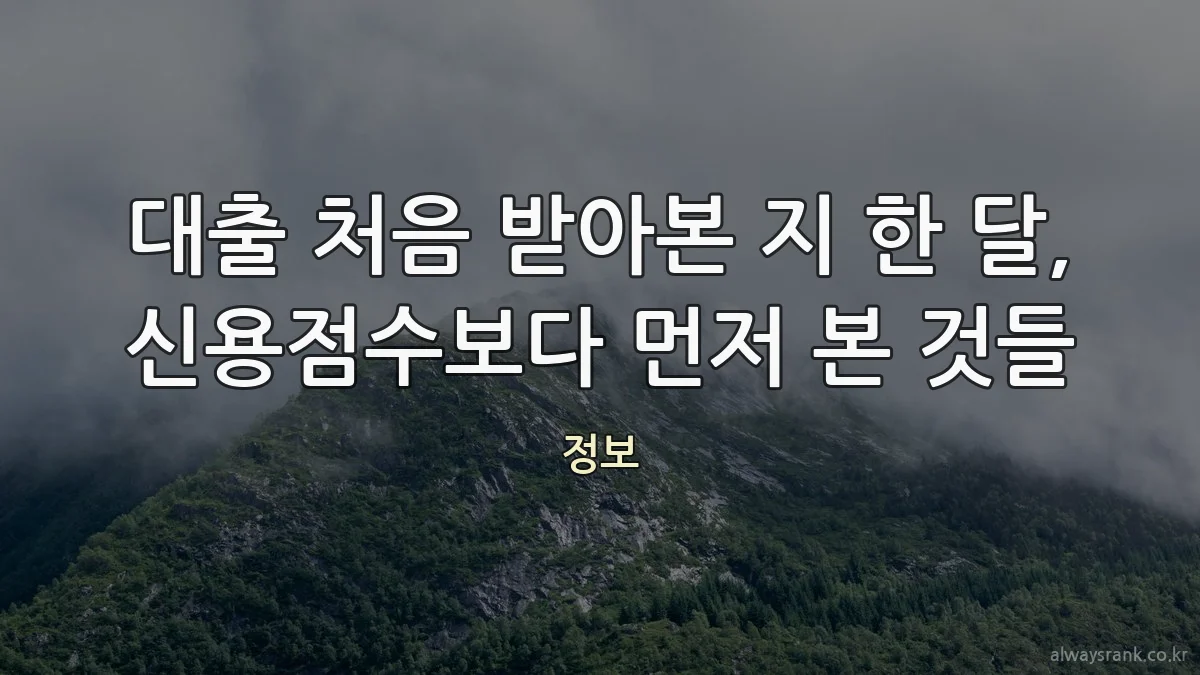 대출 처음 받아본 지 한 달, 신용점수보다 먼저 본 것들