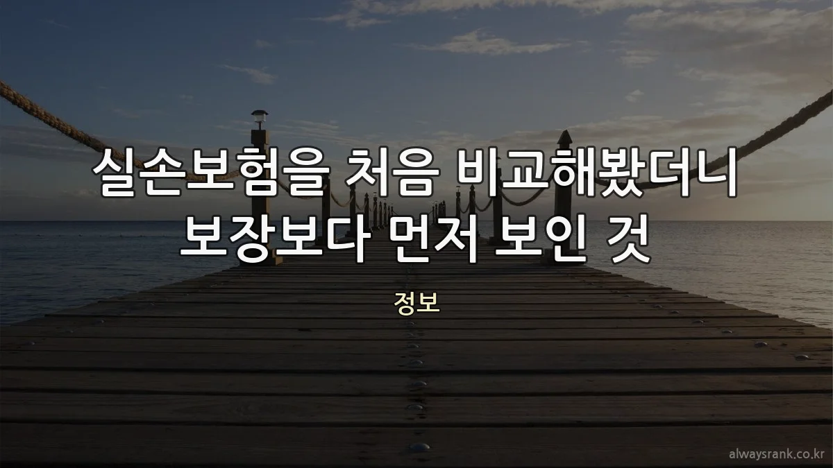 실손보험을 처음 비교해봤더니 보장보다 먼저 보인 것