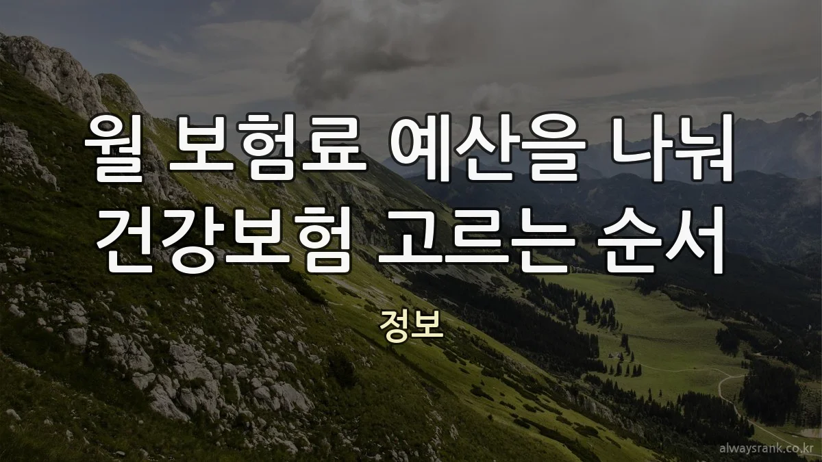 월 보험료 예산을 나눠 건강보험 고르는 순서