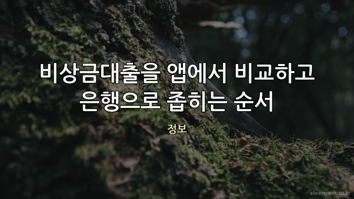 비상금대출을 앱에서 비교하고 은행으로 좁히는 순서