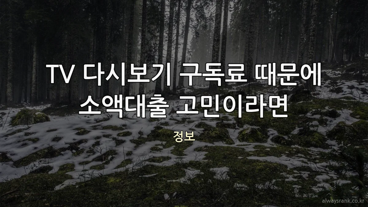 TV 다시보기 구독료 때문에 소액대출 고민이라면
