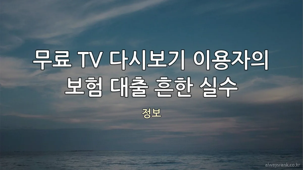 무료 TV 다시보기 이용자의 보험 대출 흔한 실수