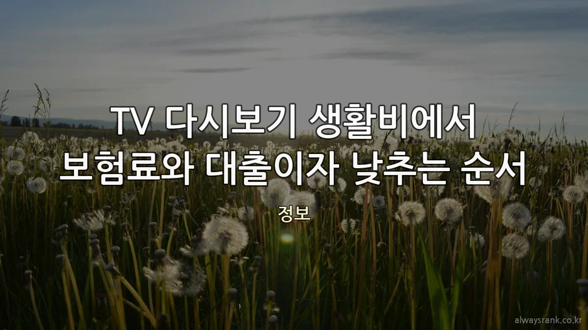 TV 다시보기 생활비에서 보험료와 대출이자 낮추는 순서
