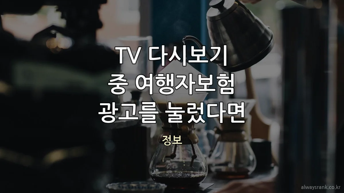 TV 다시보기 중 여행자보험 광고를 눌렀다면