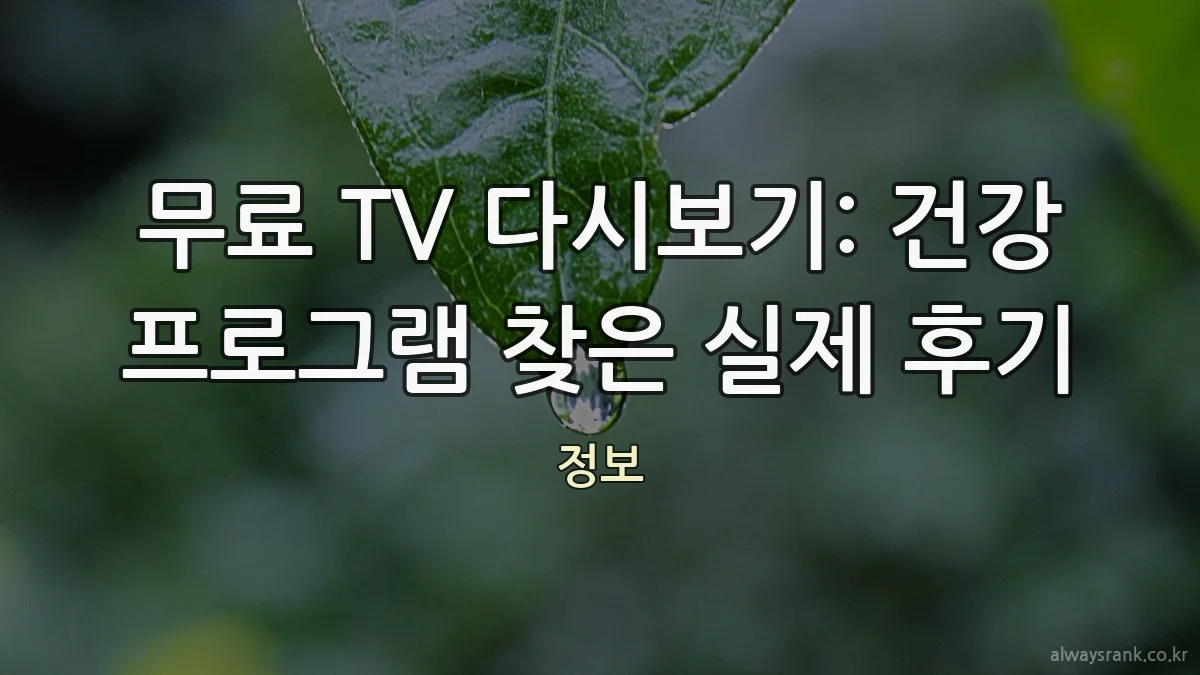 무료 TV 다시보기: 건강 프로그램 찾은 실제 후기