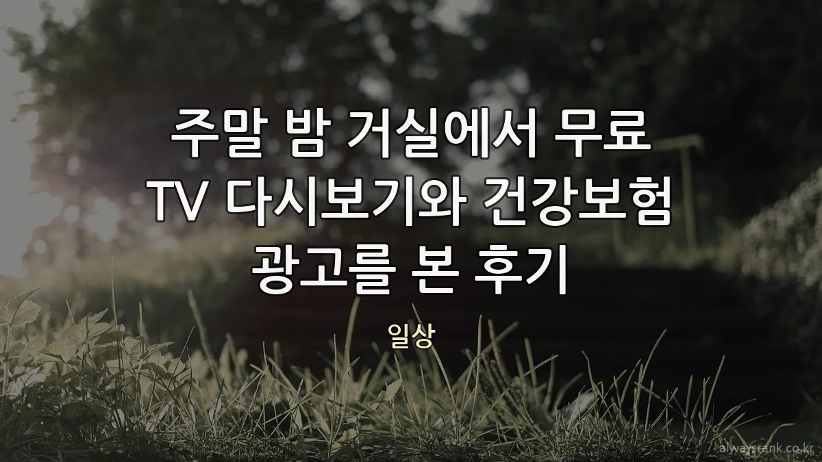 주말 밤 거실에서 무료 TV 다시보기와 건강보험 광고를 본 후기