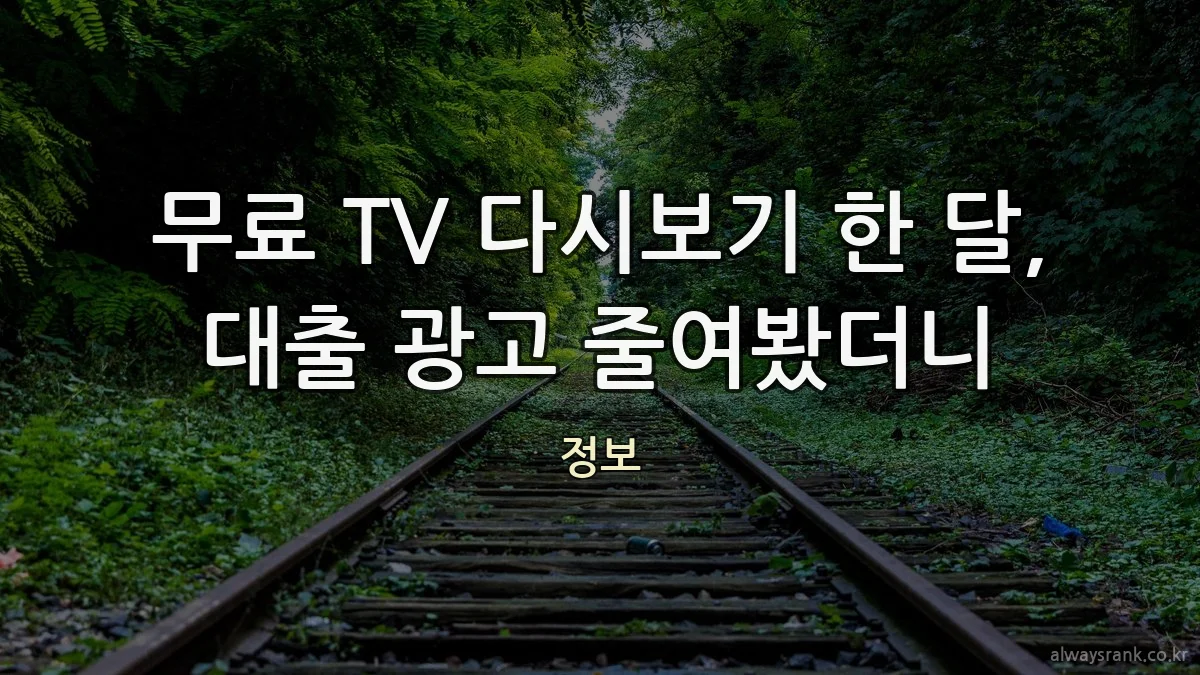 무료 TV 다시보기 한 달, 대출 광고 줄여봤더니