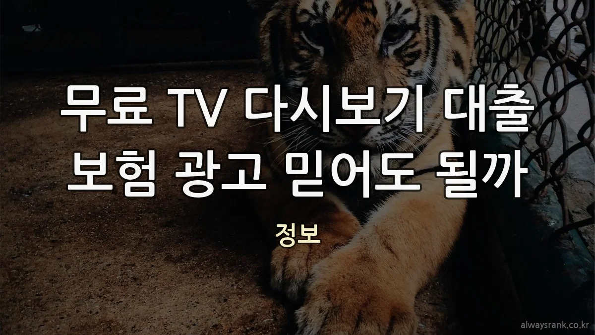 무료 TV 다시보기 대출 보험 광고 믿어도 될까