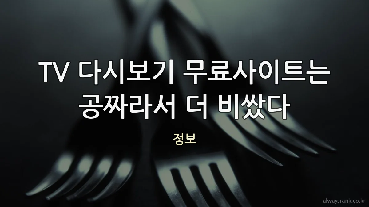 TV 다시보기 무료사이트는 공짜라서 더 비쌌다