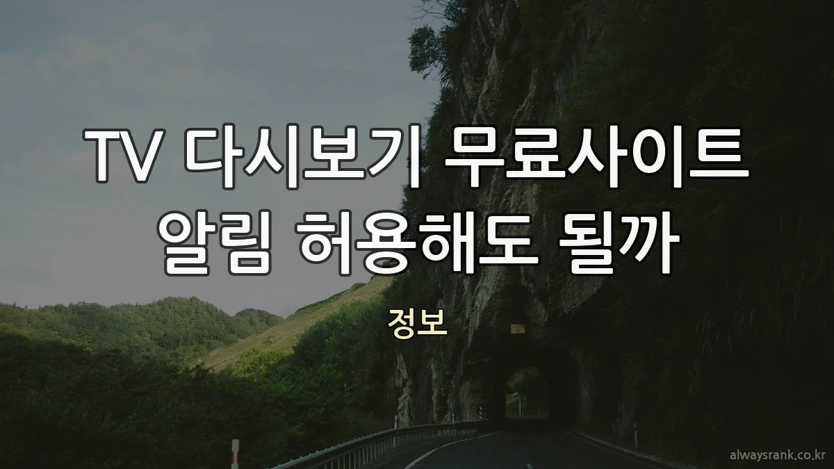 TV 다시보기 무료사이트 알림 허용해도 될까