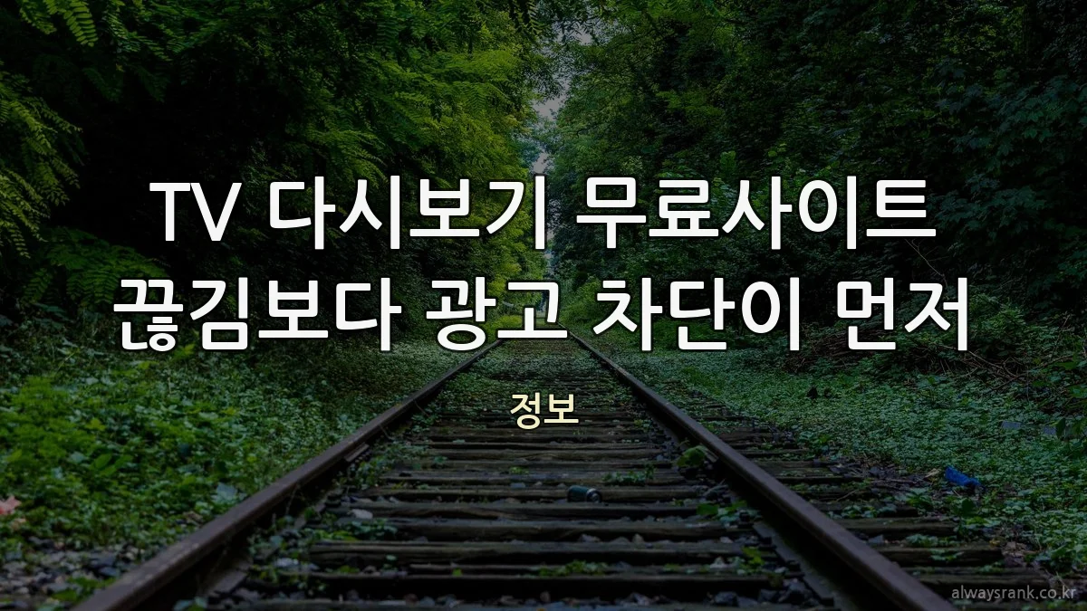 TV 다시보기 무료사이트 끊김보다 광고 차단이 먼저
