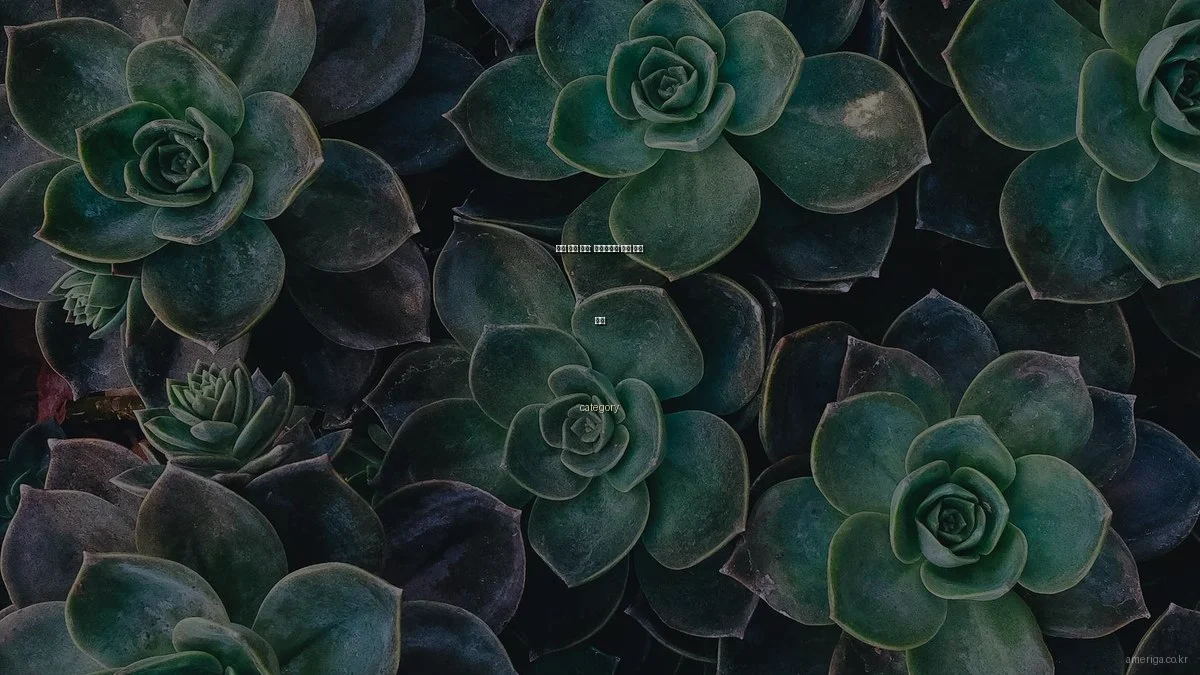 미국 생활 꿀팁: 이민자들을 위한 생활 해킹