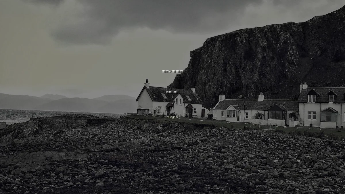 미국 유학 vs 이민: 어느 길이 당신에게 맞을까?