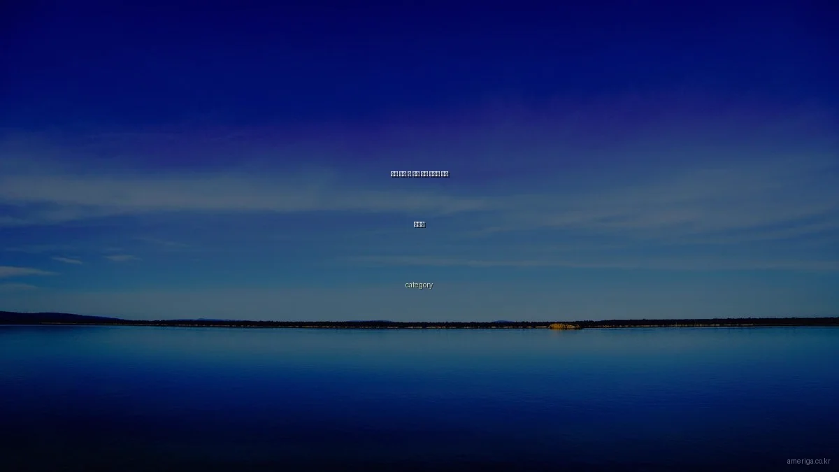 미국 이민 시 흔한 금융 실수와 해결 가이드