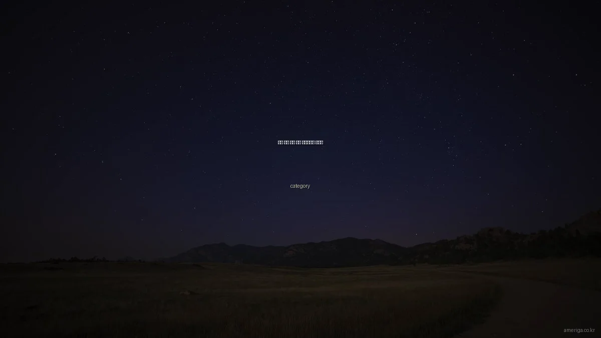 미국 이민 준비 필수 체크리스트 가이드