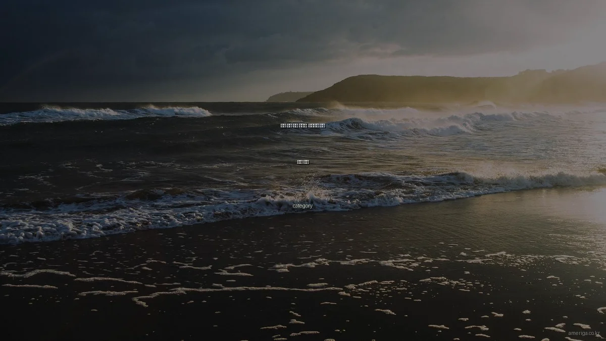 미국 생활 입문 가이드: 초보자를 위한 필수 정보