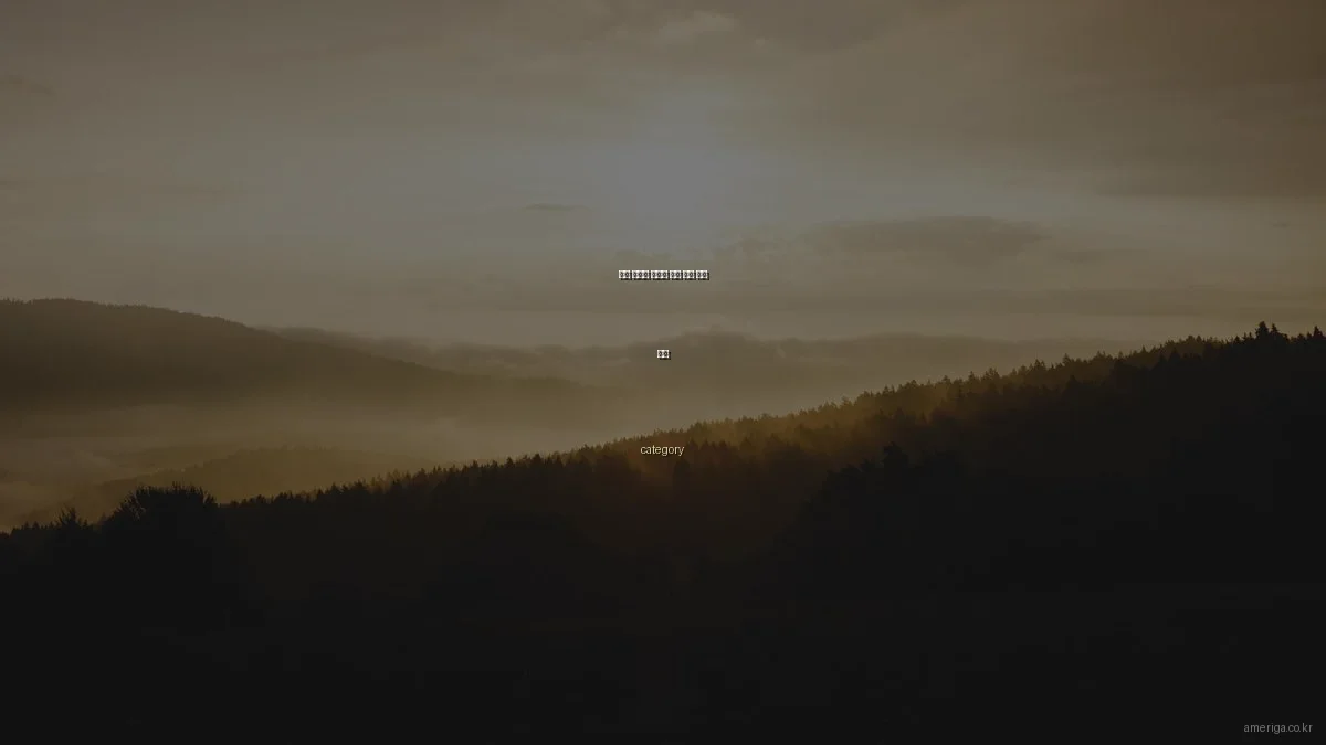 미국 유학과 이민의 성공 전략 비교 분석