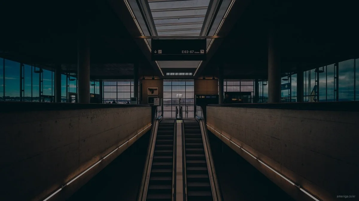 미국 유학과 이민 프로그램 비교 분석 및 추천