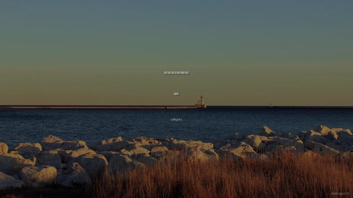 미국 이민 준비 시 흔한 오류와 해결 가이드