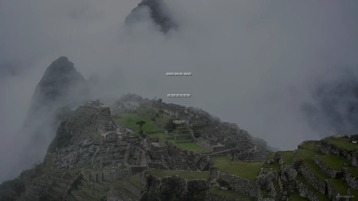 미국에서의 새로운 시작: 이민자들의 실제 후기를 통해 보는 성공 비결