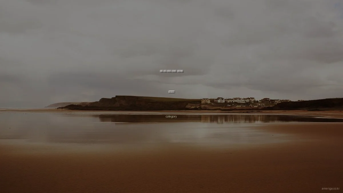 미국 이민 초보자 가이드: 기초부터 차근차근