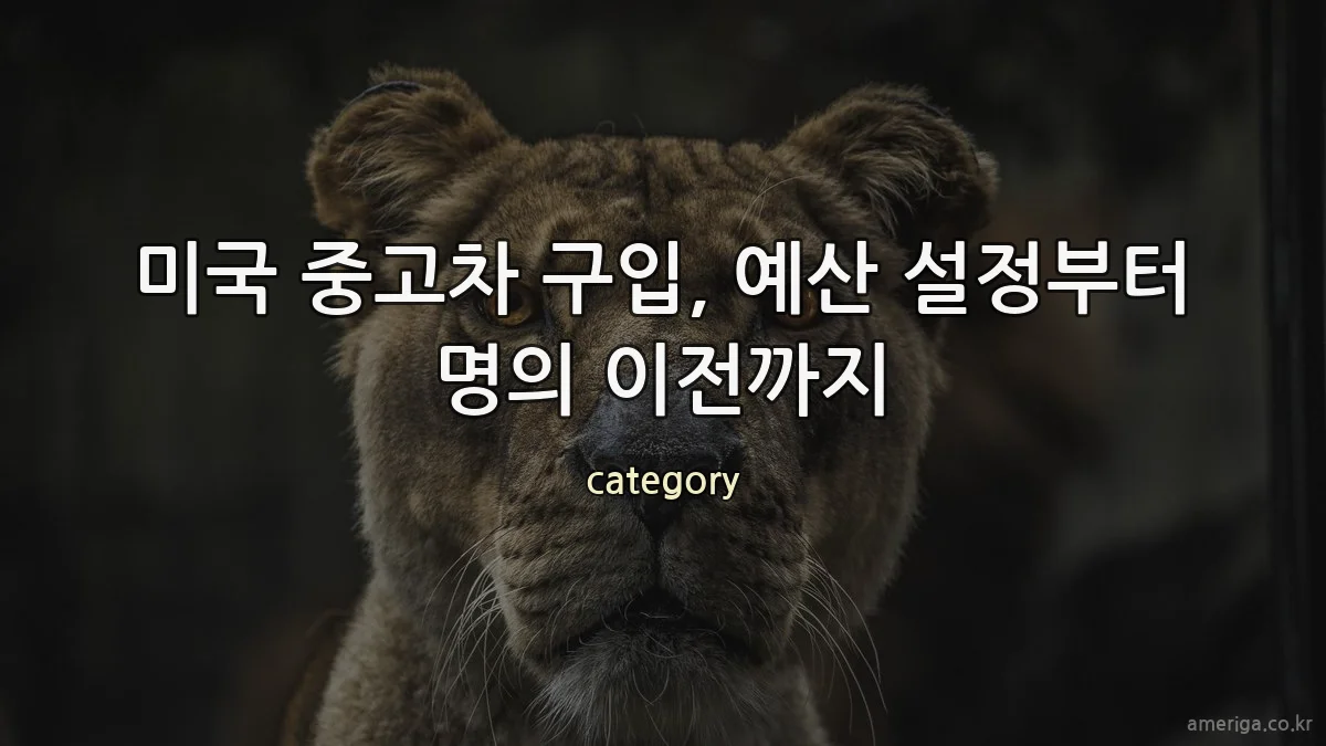 미국 중고차 구입, 예산 설정부터 명의 이전까지