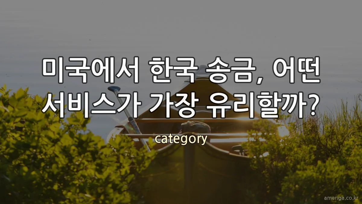 미국에서 한국 송금, 어떤 서비스가 가장 유리할까?