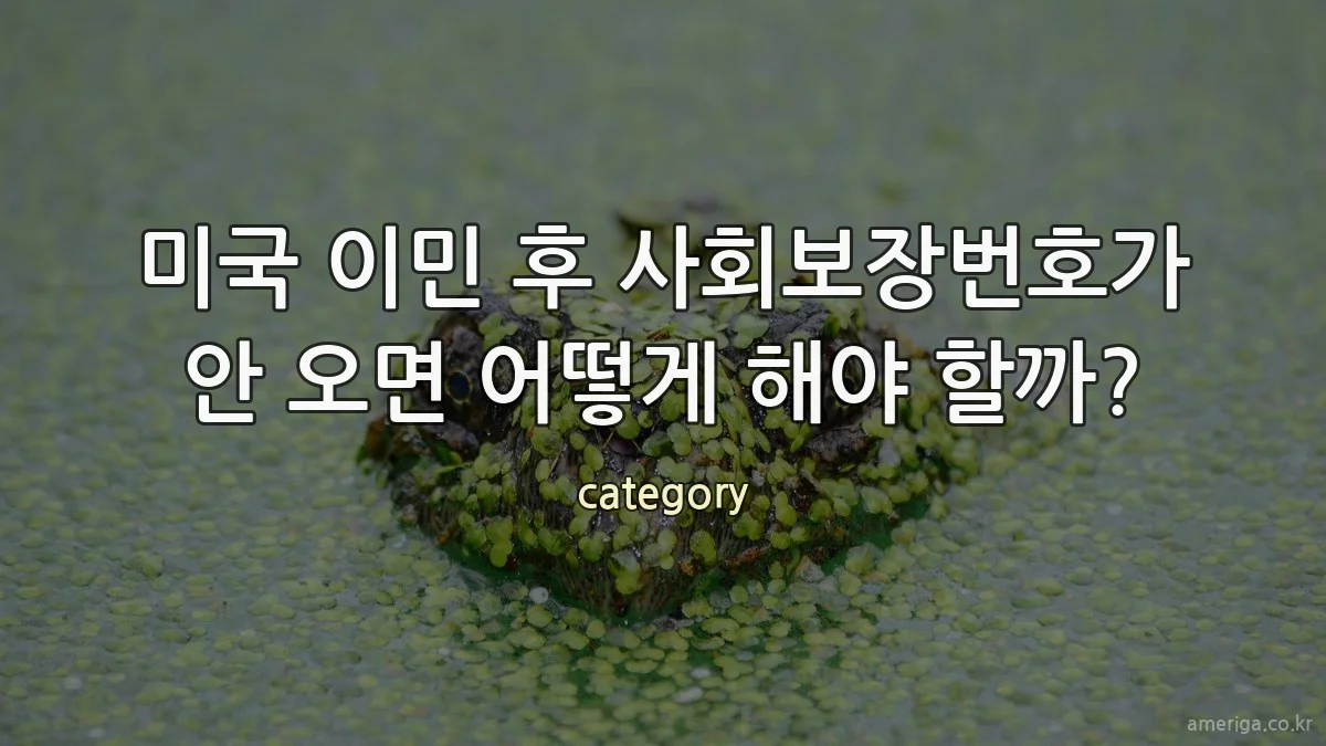 미국 이민 후 사회보장번호가 안 오면 어떻게 해야 할까?