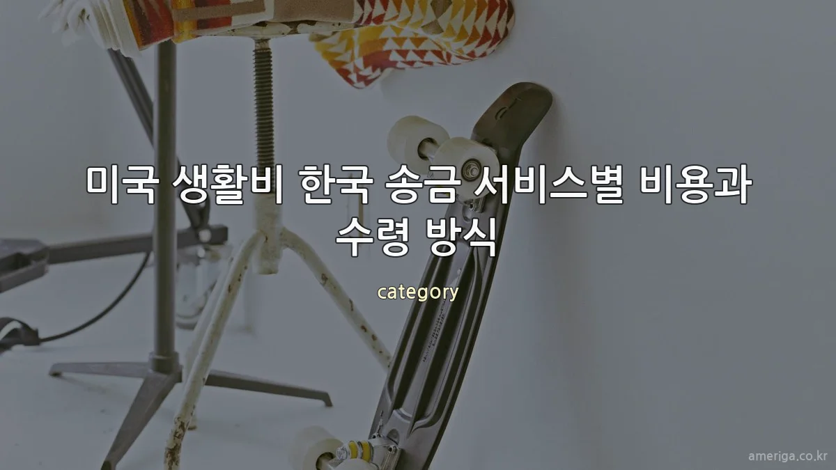 미국 생활비 한국 송금 서비스별 비용과 수령 방식