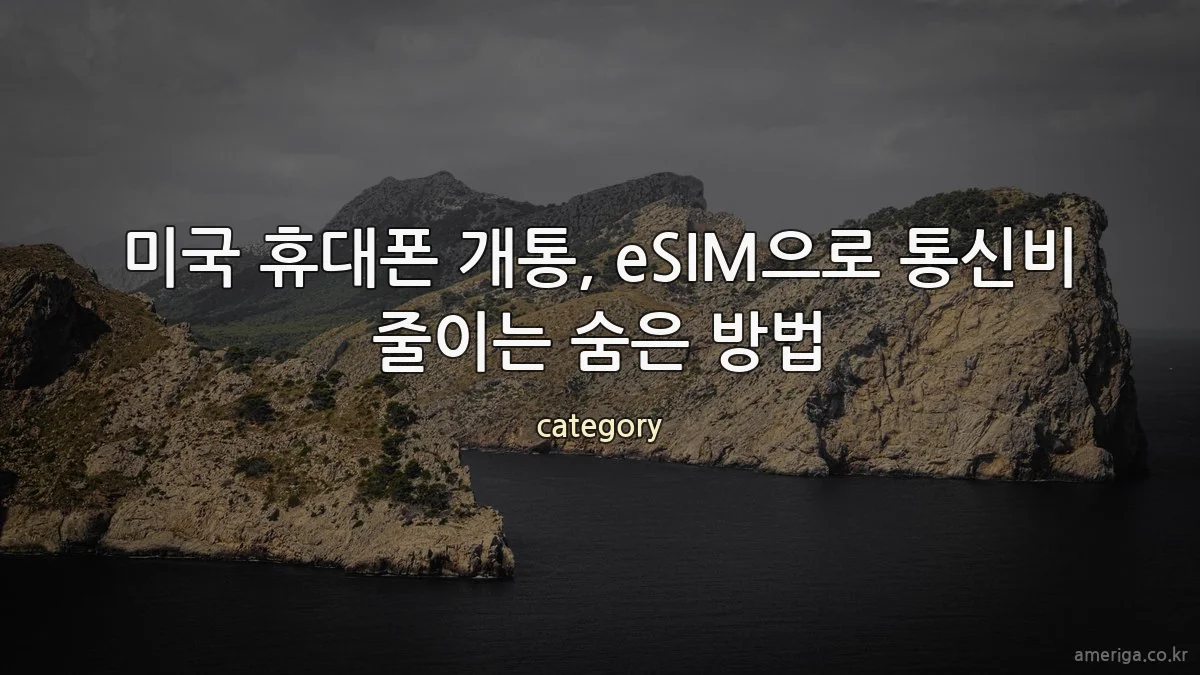 미국 휴대폰 개통, eSIM으로 통신비 줄이는 숨은 방법