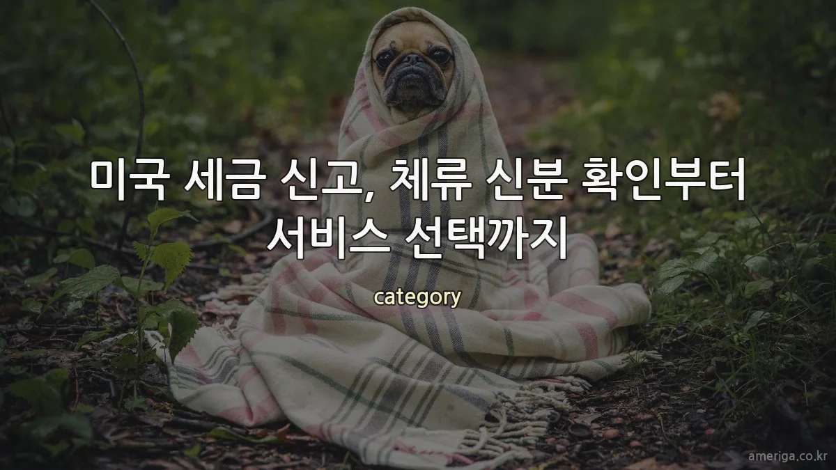 미국 세금 신고, 체류 신분 확인부터 서비스 선택까지