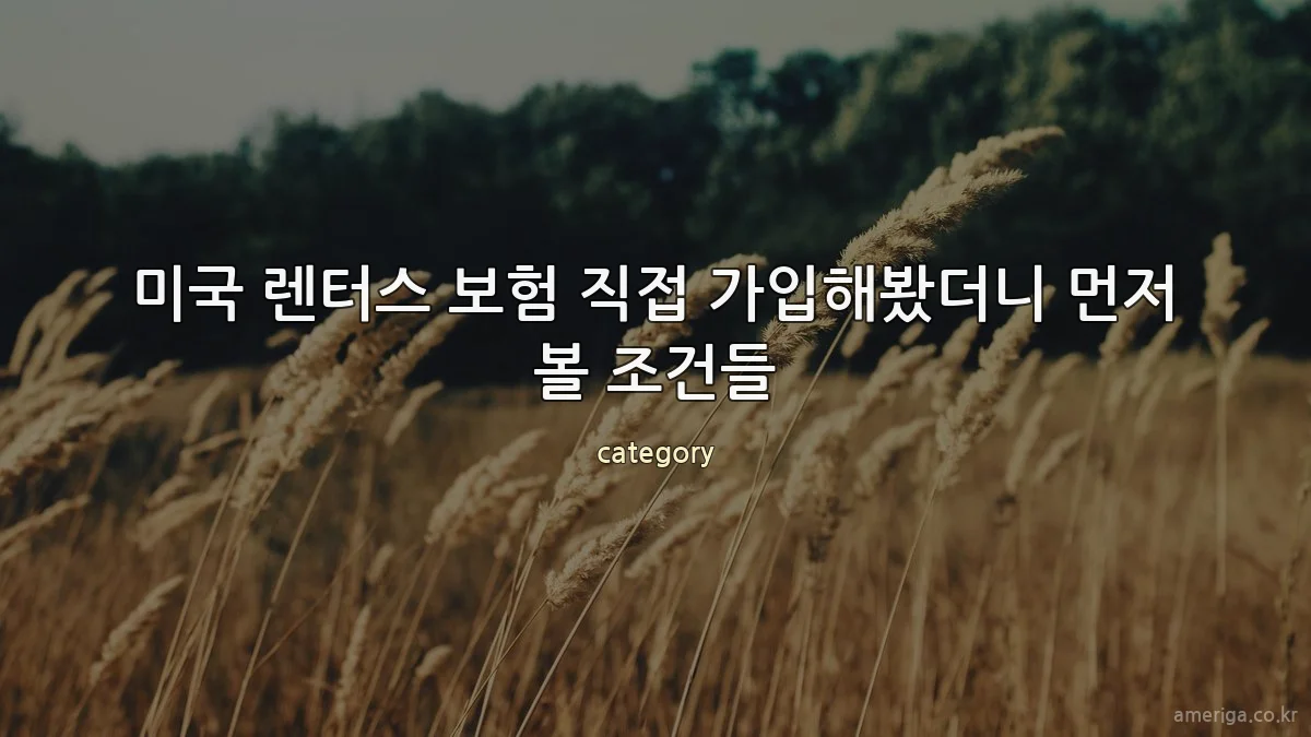 미국 렌터스 보험 직접 가입해봤더니 먼저 볼 조건들