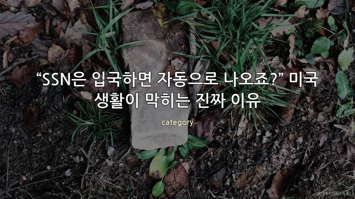 “SSN은 입국하면 자동으로 나오죠?” 미국 생활이 막히는 진짜 이유
