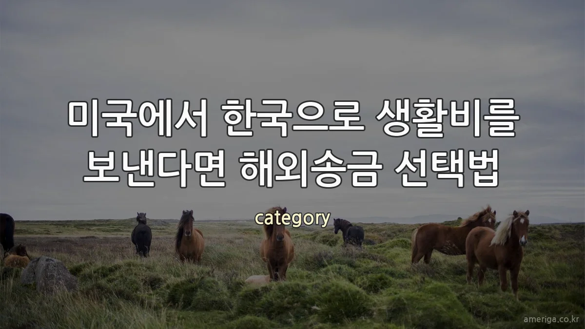 미국에서 한국으로 생활비를 보낸다면 해외송금 선택법