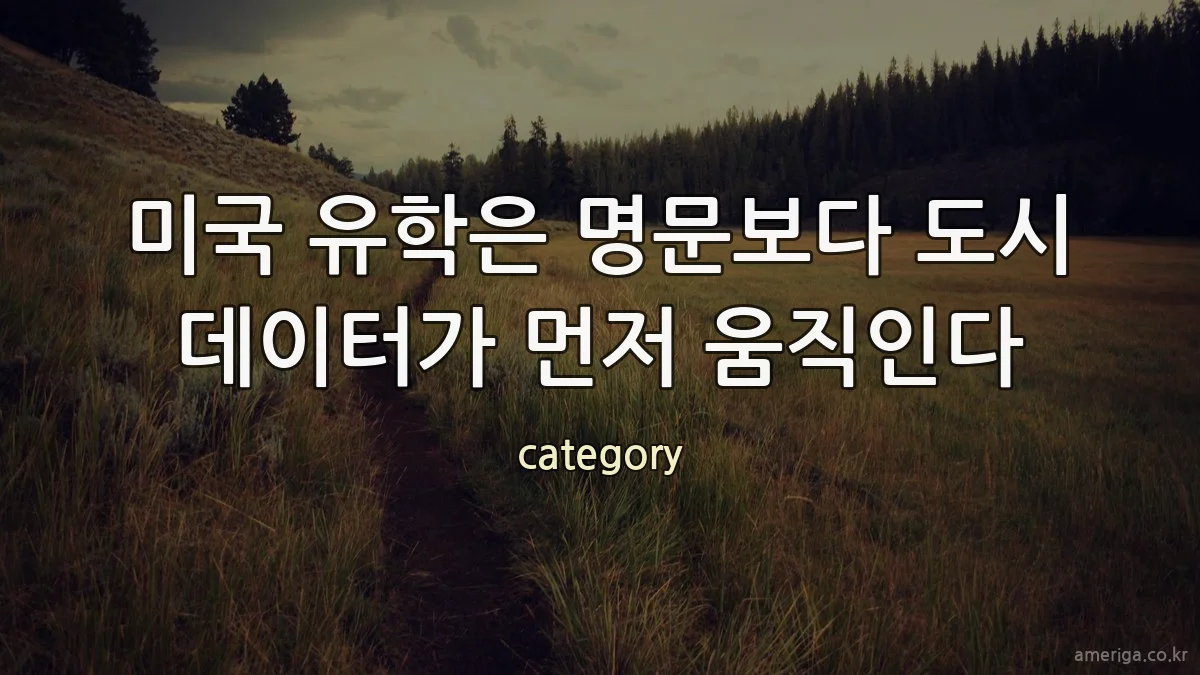 미국 유학은 명문보다 도시 데이터가 먼저 움직인다